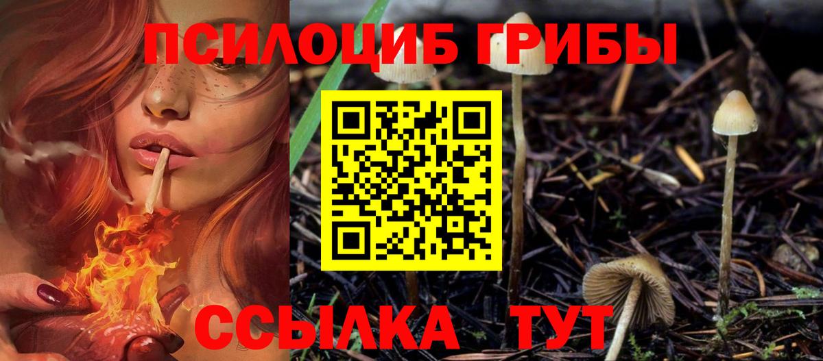 Псилоцибиновые грибы Psilocybe  Вход с VPN  Галлюциногенные грибы GOLDEN TEACHER  Волжский 